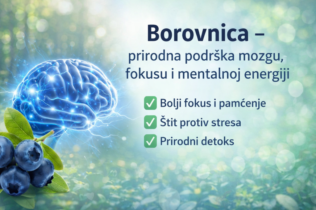 borovnica-prirodna-podrska-mozgu-pametnadomacica