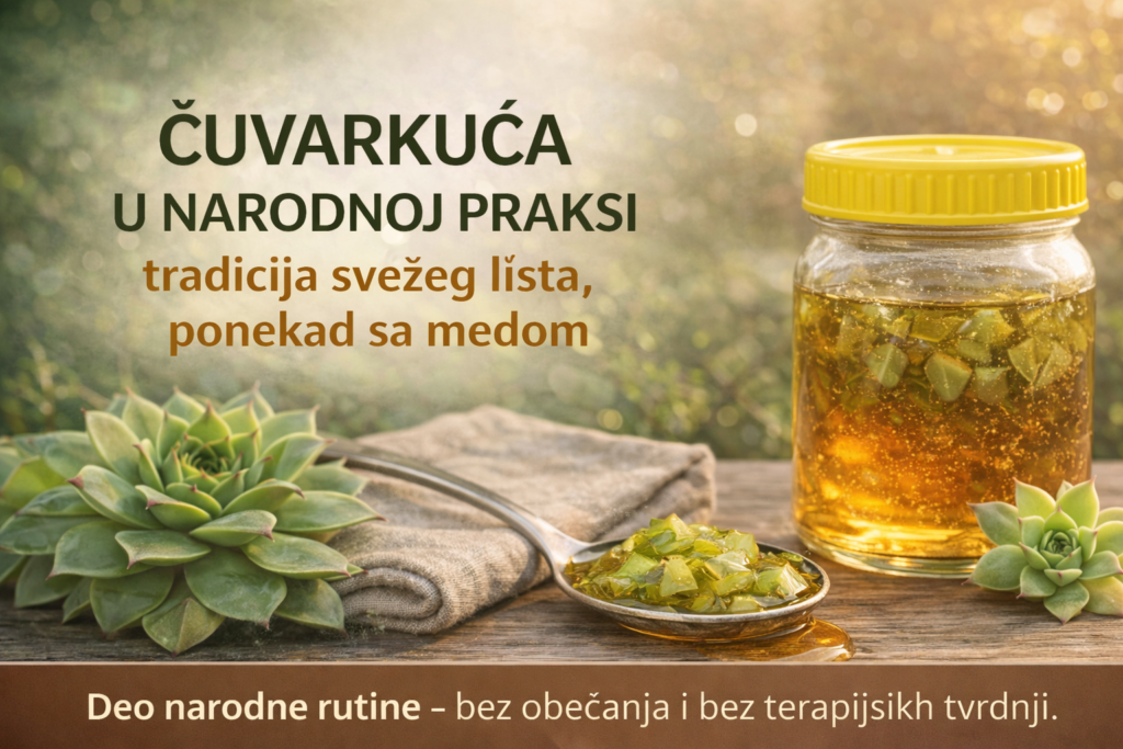 cuvarkuca-u-narodnoj-praksi-list-i-med-pametnadomacica