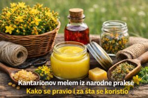 kantarionov-melem-narodna-praksa-pametnadomacica