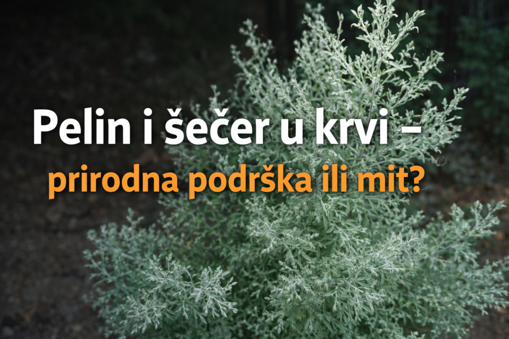 pelin-prirodna-podrska-secer-u-krvi-pametnadomacica