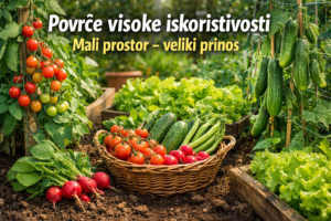 Povrće visoke iskoristivosti – mali prostor, veliki prinos