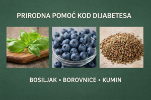prirodna-pomoc-kod-dijabetesa-bosiljak-borovnice-kumin-pametnadomacica