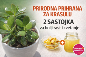prirodna-prihrana-za-krasulu-pametnadomacica
